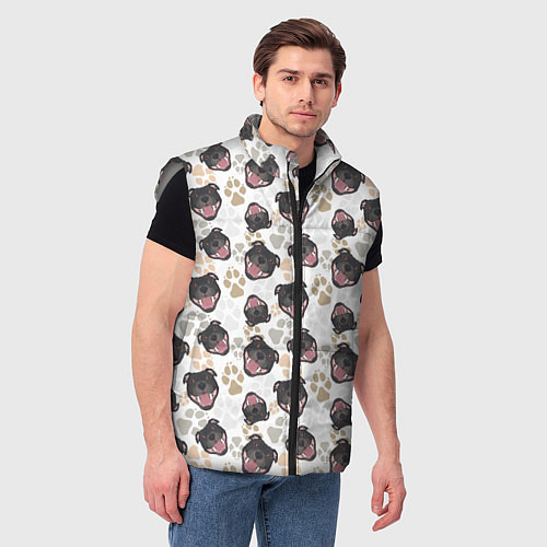 Мужской жилет Стаффордширский Бультерьер Bull-Terrier / 3D-Светло-серый – фото 3