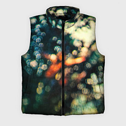 Мужской жилет Obscured by Clouds - Pink Floyd, цвет: 3D-черный