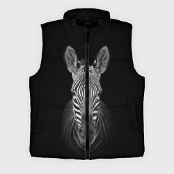 Мужской жилет Зебраzebra
