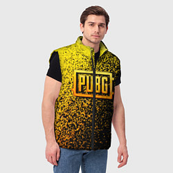 Мужской жилет PUBG - ПАБГ ОСКОЛКИ, цвет: 3D-черный — фото 2