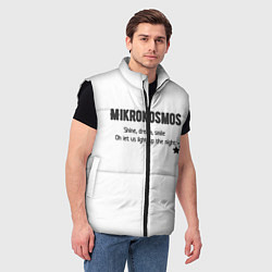 Мужской жилет Mikrokosmos, цвет: 3D-черный — фото 2