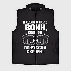 Мужской жилет Один в поле Воин Русский, цвет: 3D-светло-серый
