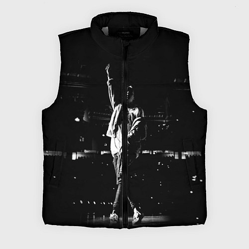 Мужской жилет Фараон на Сцене Pharaoh ЧБ / 3D-Светло-серый – фото 1