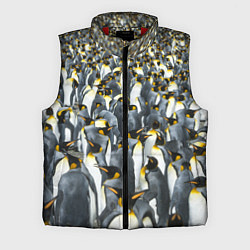 Мужской жилет Пингвины Penguins, цвет: 3D-красный