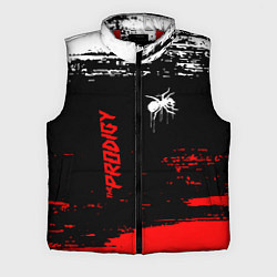 Мужской жилет The prodigy : дарование, цвет: 3D-красный