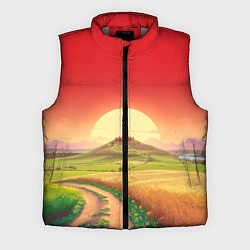 Мужской жилет Дорога к солнцу, цвет: 3D-светло-серый
