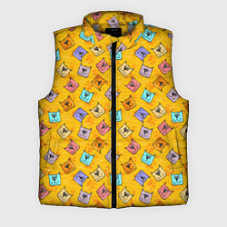 Мужской жилет Цветные котики и лапки, цвет: 3D-светло-серый