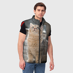 Мужской жилет Британская короткошёрстная кошка смотрит вверх, цвет: 3D-красный — фото 2