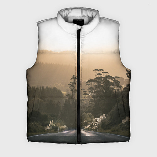 Мужской жилет Дорога в закaт / 3D-Светло-серый – фото 1