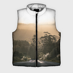 Мужской жилет Дорога в закaт, цвет: 3D-светло-серый