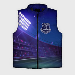 Мужской жилет Everton ночное поле, цвет: 3D-черный