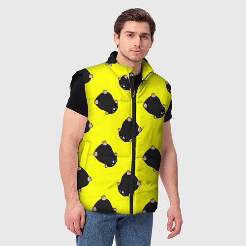 Мужской жилет Кротовуха / 3D-Черный – фото 3