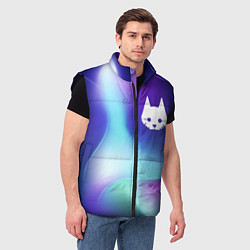 Мужской жилет Stray northern cold, цвет: 3D-черный — фото 2