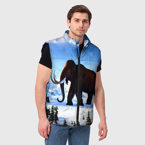 Мужской жилет Мамонт ледникового периода / 3D-Черный – фото 3