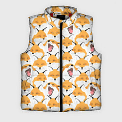 Мужской жилет Хитрые лисы, цвет: 3D-красный