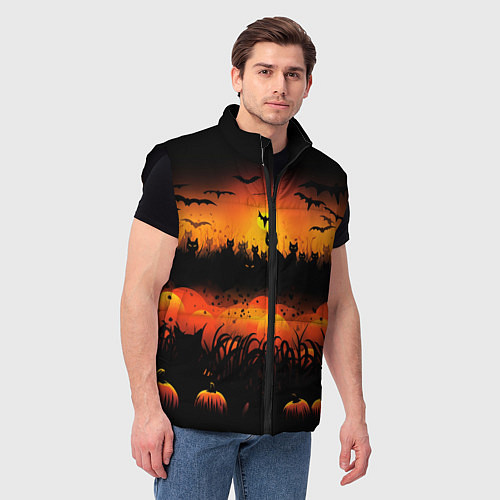 Мужской жилет Кошки хэллоуина / 3D-Черный – фото 3