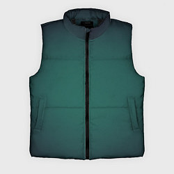 Мужской жилет Зелёные крылья и чешуйчатый хвост, цвет: 3D-черный