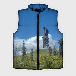 Мужской жилет Мемориал Советскому Солдату во Ржеве, цвет: 3D-черный