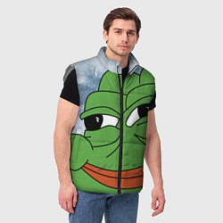 Мужской жилет Хитрый лягушонок пепе, цвет: 3D-светло-серый — фото 2