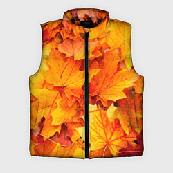 Мужской жилет Осень - клиновые листья, цвет: 3D-черный
