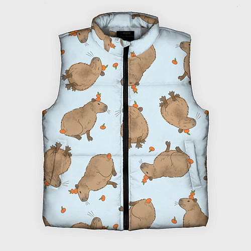 Мужской жилет Паттерн с капибарами и мандаринками голубой / 3D-Светло-серый – фото 1