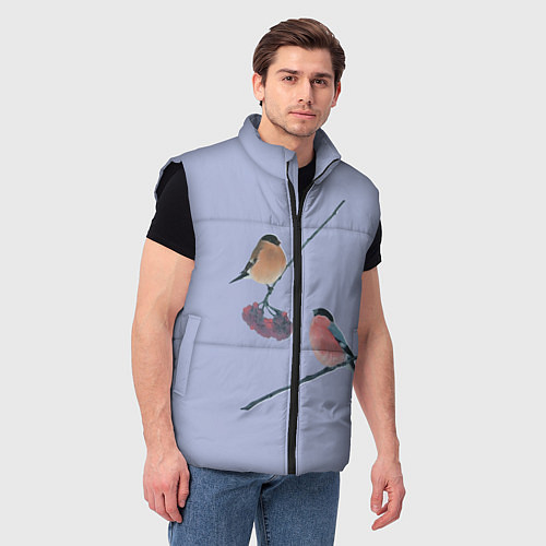 Мужской жилет Снегири на ветке / 3D-Черный – фото 3