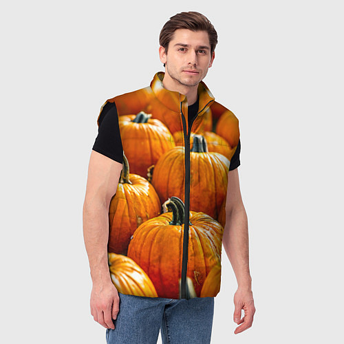 Мужской жилет Много тыкв / 3D-Черный – фото 3