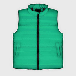 Мужской жилет Изумрудный зелёный однотонный с полосами, цвет: 3D-черный