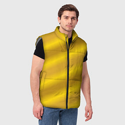 Мужской жилет Золотой градиент, цвет: 3D-светло-серый — фото 2