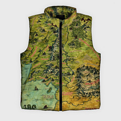 Мужской жилет Властелин колец карта цветная, цвет: 3D-черный