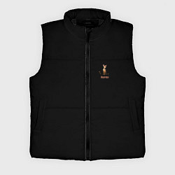 Мужской жилет Bambi, цвет: 3D-черный