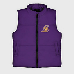 Мужской жилет NBA Lakers, цвет: 3D-черный