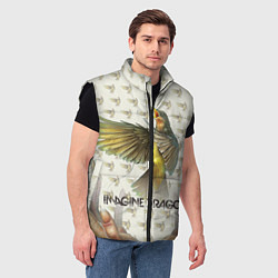 Мужской жилет Imagine Dragons: Fly, цвет: 3D-черный — фото 2