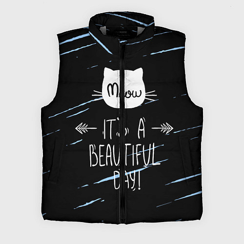 Мужской жилет Прекрасный день / 3D-Светло-серый – фото 1