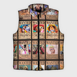 Мужской жилет One Piece, цвет: 3D-черный