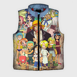 Мужской жилет One Piece
