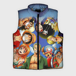 Мужской жилет One Piece