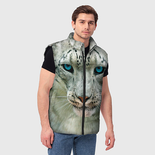 Мужской жилет Снежный барс / 3D-Черный – фото 3