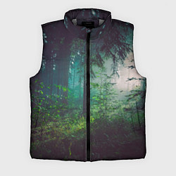 Мужской жилет Таинственный лес, цвет: 3D-светло-серый