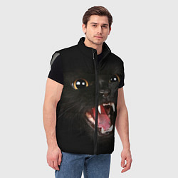 Мужской жилет Черный кот, цвет: 3D-светло-серый — фото 2