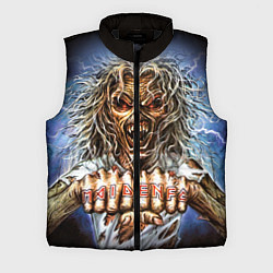 Мужской жилет Iron Maiden: Maidenfc, цвет: 3D-черный