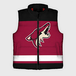 Мужской жилет Arizona Coyotes