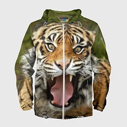 Ветровка с капюшоном мужская Удивленный тигр, цвет: 3D-белый