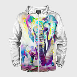 Ветровка с капюшоном мужская Акварельные слоны, цвет: 3D-белый