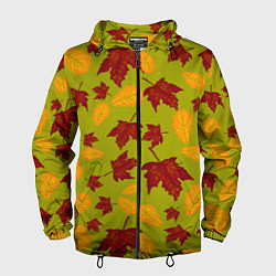 Ветровка с капюшоном мужская Осенние листья клён и дуб, цвет: 3D-черный