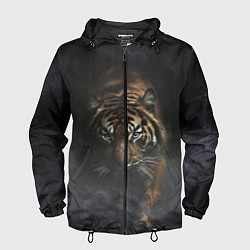 Ветровка с капюшоном мужская Тигр в тумане, цвет: 3D-черный