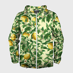 Ветровка с капюшоном мужская Лимоны На Ветках, цвет: 3D-белый
