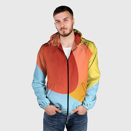 Мужская ветровка Абстрактные разноцветные листы / 3D-Черный – фото 3