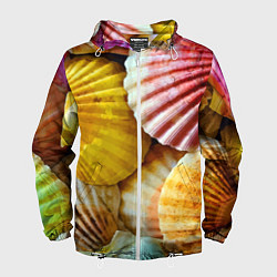 Ветровка с капюшоном мужская Разноцветные створки океанских раковин, цвет: 3D-белый