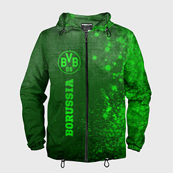 Ветровка с капюшоном мужская Borussia - green gradient по-вертикали, цвет: 3D-черный